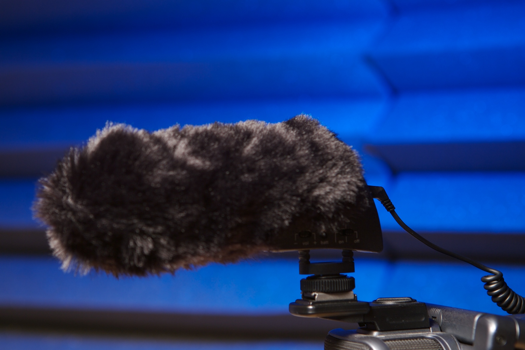 Canon Mic