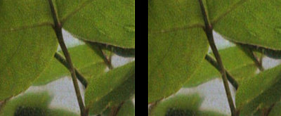 Elphel image quality?-compressiontest.jpg