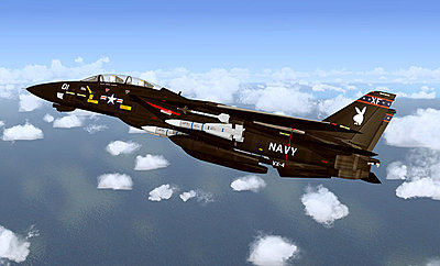The only way to fly-25.jpg