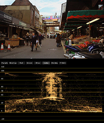 My FCP Workflow-turin.jpg