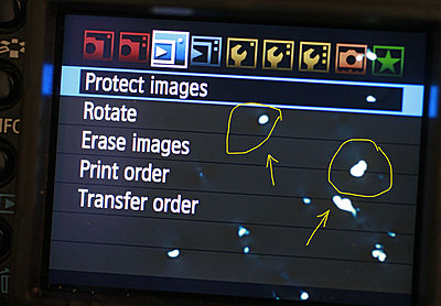 Zacuto + other magnifying type viewers and LCD burn-lcd_burnin.jpg