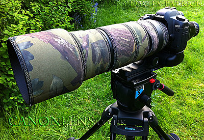 Canon 5D Mk2 & Sigma 120-300mm f/2.8 OS (Optical Stabilizer) DG APO HSM lens-4-sigma-120-300mm-f2.8-os-plus-lens-cover.jpg