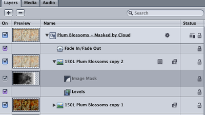 Motion 4 - Image Mask Trouble-picture-2.png