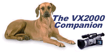 Today we're eight-companion.gif