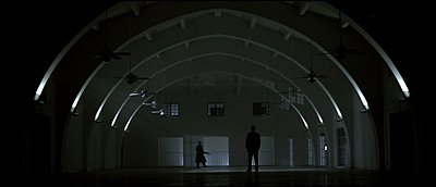 Painting with shadow...-tpsarch.jpg