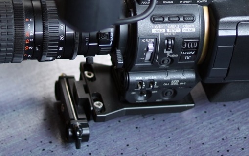 Cavision Dog