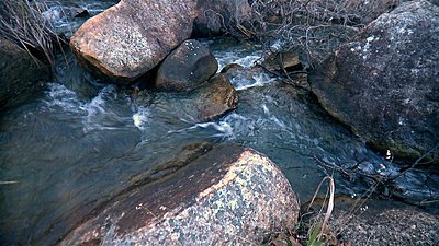 Roiding The Extreme-stony-gully-retro-02.jpg
