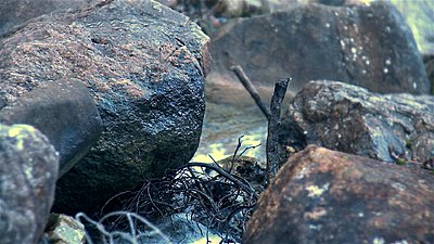 Roiding The Extreme-stony-gully-retro-03.jpg