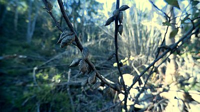 Roiding The Extreme-stony-gully-retro-04.jpg