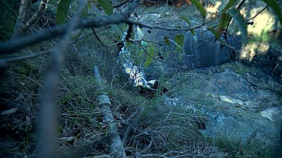 Roiding The Extreme-stony-gully-retro-06.jpg