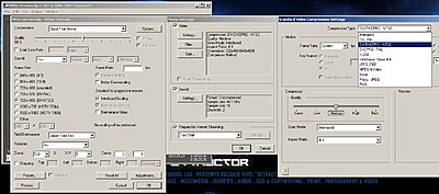 DV/DVCPRO-NTSC Codec...& Pinnacle Studio Plus-qt.jpg