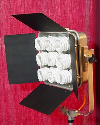 CFL Bulbs in a 9-array with Barn Doors