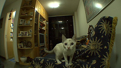 wide angle, fisheye and telephoto lens for HVR-V1?-dsc00369.jpg