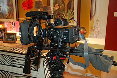 Shoulder rig suggestions?-fs100-rig.jpg