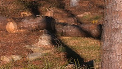 Vegas Pro 8   24F/24P Question-example-interlaced-24p-wmv.jpg