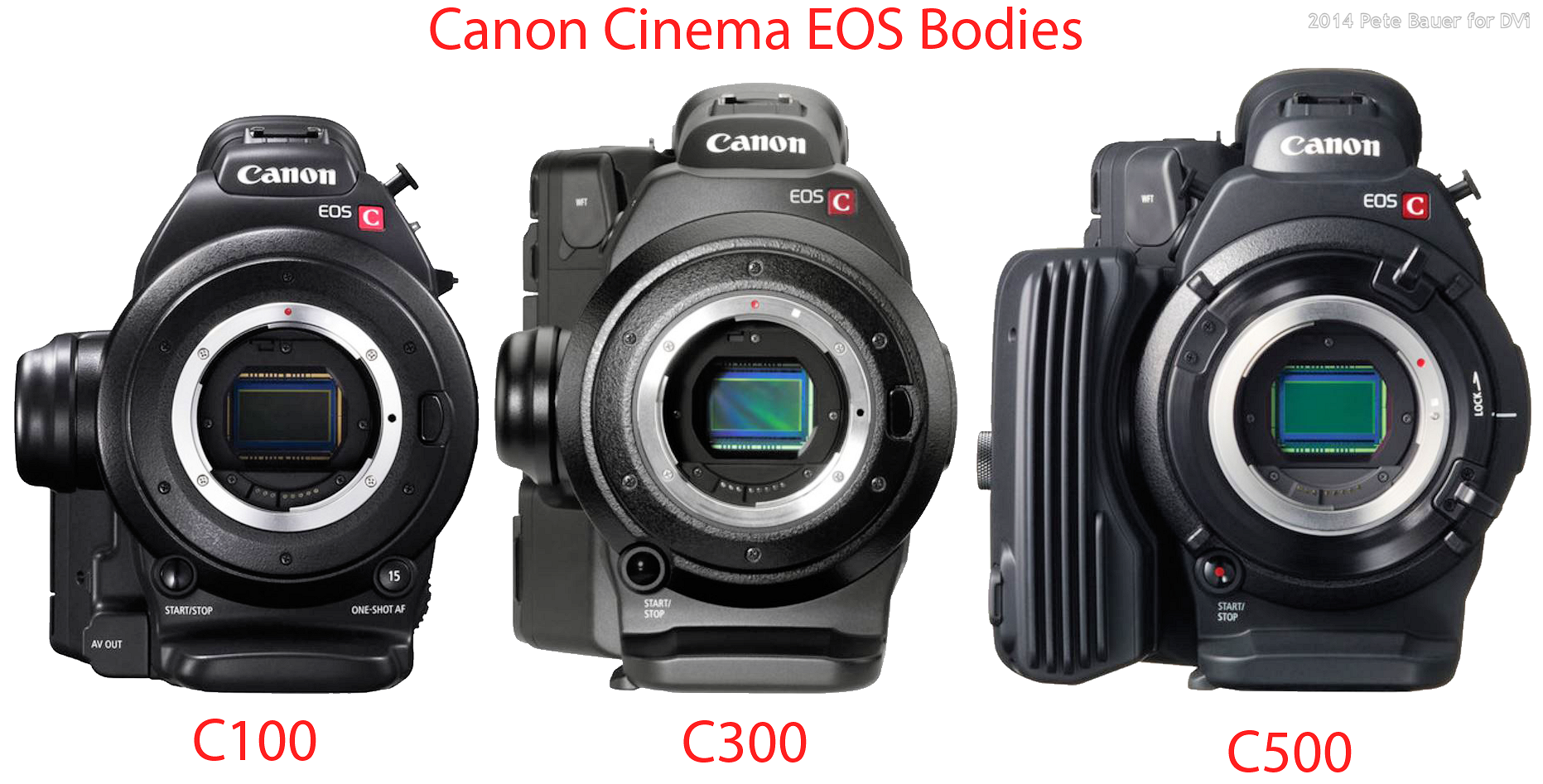 Canon Cinema EOS: Which Camera?