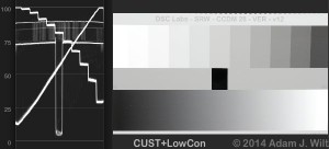 CCDM-CUST-LOWCON3