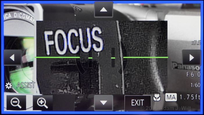 Focus Assist with image magnification and blue peaking