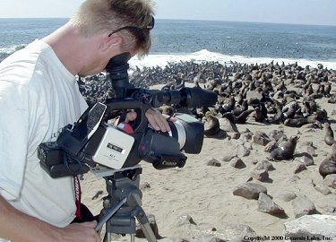 Cape Cross Seal Reserve