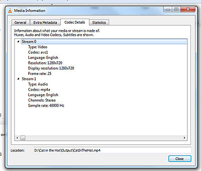 Media encoder settings to play on Sony Bravia (via USB)-mpg4details.jpg