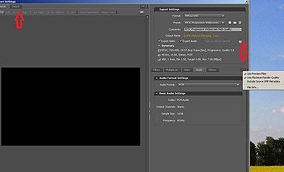 Best HDV to DVD settings with CS4? DEEPLY VEXED!-ame-output.jpg