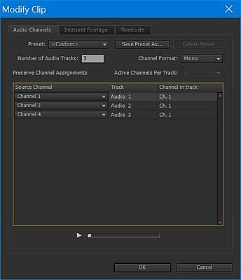 Premiere Pro Multiple Empty Tracks On Import-dvinfo-edit-audio-channels-2.jpg