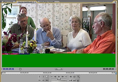 PPro CS 3 + Canon HV20 - broken frames-brokenframe.jpg