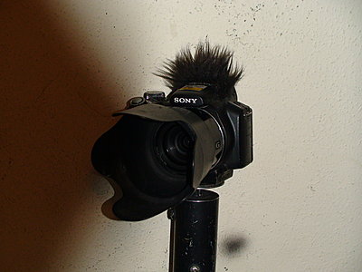 Einstein Fur Microphone Windscreen for a Photo Camera-dsc03456.jpg