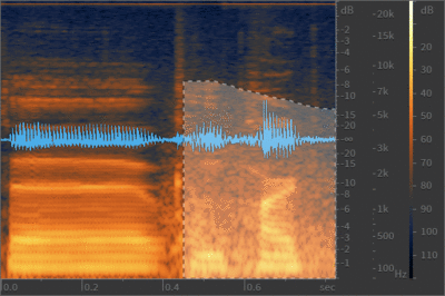Identifying offending noise by using spectral frequency display-bangrx.gif