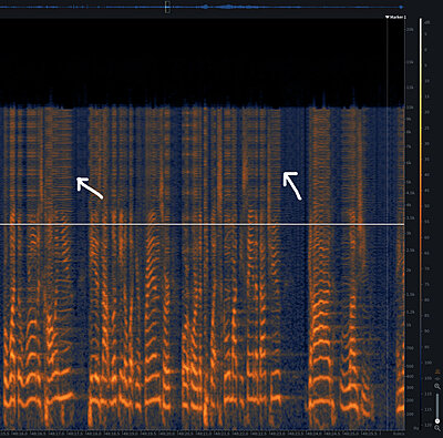 Buzz/Static Appears After 45 Minutes of Recording-interference-striations.jpg