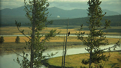 Yellowstone, Jackson Hole, Letus, Oh My-snapshot20070916082322.jpg