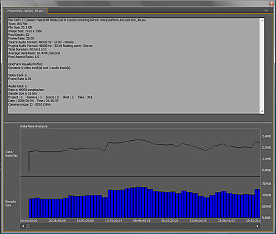 Problem with Jerky Motion in Final Video-cineform_avi_properties.jpg