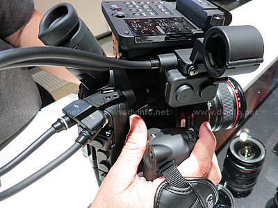 Does Canon ever talk to their customers?-c300-xlr1.jpg