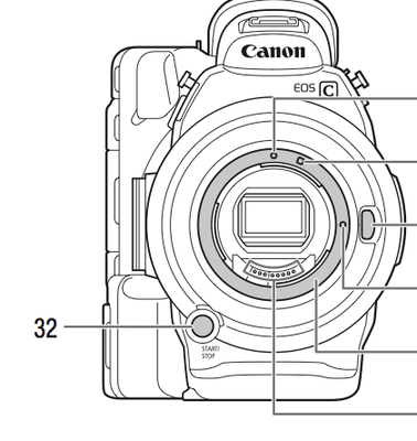 C300 for wildlife filmmaking?-picture-4.png