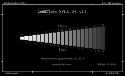 C300 MkII ISO Colour Shifts-picture-11.png