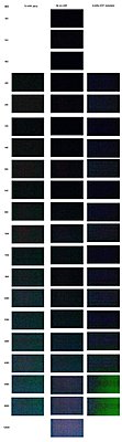 Canon 7D ISO/WB noise tests-noisechart_quartersize.jpg