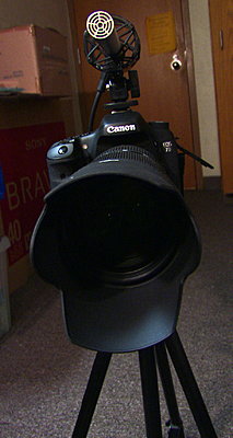 Canon 7D *Official* DSLR Rigs & Discussion ~Post Your Pics/Learn To Build It~-4.jpg