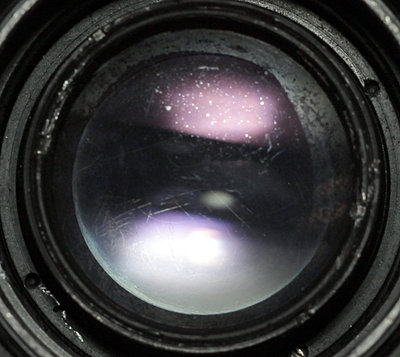 Top 4 vintage lenses-fungus-zoomed.jpg