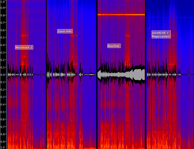 Canon 5D Mark II Audio Exposed; with BeachTek DXA-5D and juicedLink CX231-audio3.png