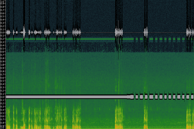 Canon 5D Mark II Audio Exposed; with BeachTek DXA-5D and juicedLink CX231-ml-fw.png