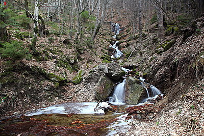 Bright daylight with fast lens-img_5556_resize.jpg