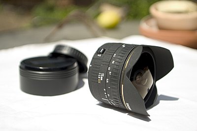5d Video shooting and shutter speeds and wide angle lens recommendation-sigma-15mm.jpg
