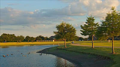 Shooting entirely in 3X crop mode-pond.jpg