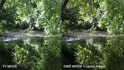 HV20 cine mode more dynamic range?-streamcomp.jpg