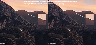 Intensity doesn't support HV20-mjpegvscineform.png