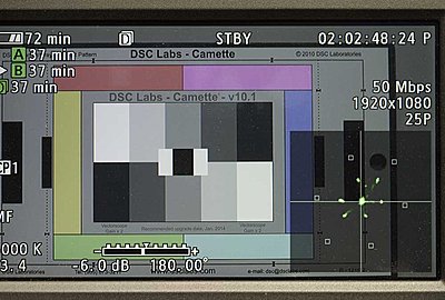 Does the Vectorscope Have Adjustable Gain?-dclab-xf300.jpg