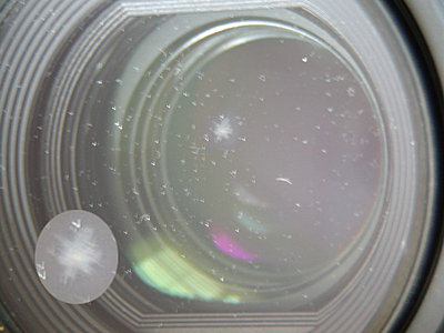 Fungus/Mold Inside The Lens-lens-mold.jpg