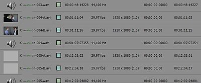 Long CF files rendered from AE not viewable in Premiere?-premiere-bin.jpg