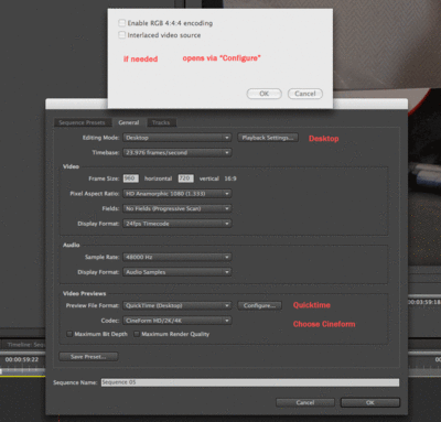 Mac Premiere Pro CS4 and neohd workflow?-cineformpremeirecs4neohd.gif