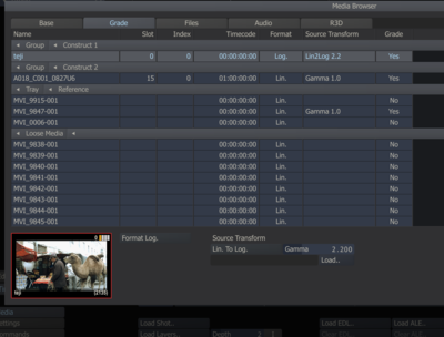 Question:DPX sequences from CineForm cf2dpx import to Assimilate SCRATCH-dpx-source-transform-lin2log_gamma2.2.png